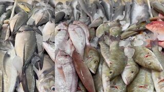 Salalah: рыбный рынок утром (что свежее и сколько стоит)