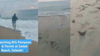 Sada Beach. Помпано и permit на катушку. Какая проводка сработала?