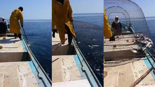 صيد القراقير Salalah ловушки у берега и проверка садков на приливе