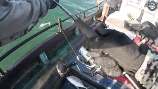 GT и queenfish атакуют приманки целый день морской рыбалки у побережья Khao Lak Thailand