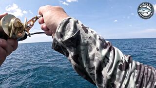 Diamond trevally тянет шнур, спиннинг гнётся дугой у берегов Khao Lak Thailand