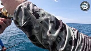 Diamond trevally тянет шнур, спиннинг гнётся дугой у берегов Khao Lak Thailand