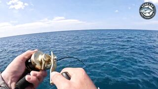 Diamond trevally тянет шнур, спиннинг гнётся дугой у берегов Khao Lak Thailand