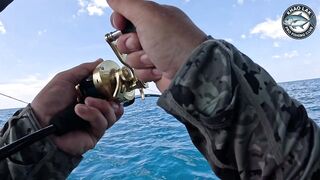 Diamond trevally тянет шнур, спиннинг гнётся дугой у берегов Khao Lak Thailand