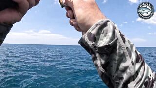 Diamond trevally тянет шнур, спиннинг гнётся дугой у берегов Khao Lak Thailand