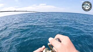 Diamond trevally тянет шнур, спиннинг гнётся дугой у берегов Khao Lak Thailand