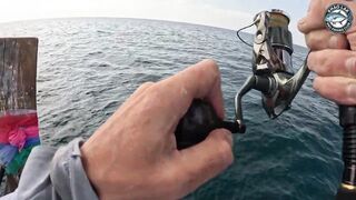 Крупная queenfish тащит леску тяжёлая работа фрикциона и восторг спиннингиста
