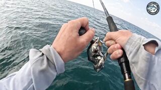 Крупная queenfish тащит леску тяжёлая работа фрикциона и восторг спиннингиста