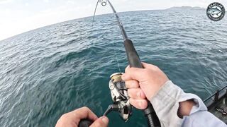 Крупная queenfish тащит леску тяжёлая работа фрикциона и восторг спиннингиста