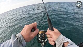 Крупная queenfish тащит леску тяжёлая работа фрикциона и восторг спиннингиста