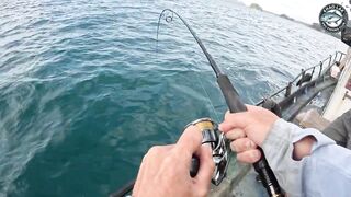 Крупная queenfish тащит леску тяжёлая работа фрикциона и восторг спиннингиста