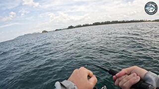 Крупная queenfish тащит леску тяжёлая работа фрикциона и восторг спиннингиста