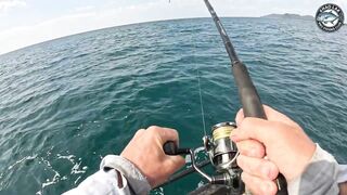Крупная queenfish тащит леску тяжёлая работа фрикциона и восторг спиннингиста