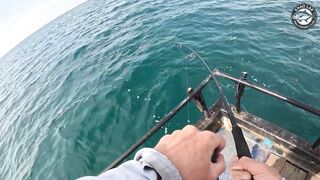 Крупная queenfish тащит леску тяжёлая работа фрикциона и восторг спиннингиста