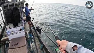 Крупная queenfish тащит леску тяжёлая работа фрикциона и восторг спиннингиста