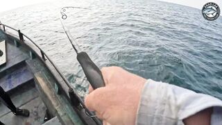 Крупная queenfish тащит леску тяжёлая работа фрикциона и восторг спиннингиста