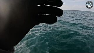 Большая queenfish на поппер - выматывает шнур в ноль у побережья Khao Lak Thailand