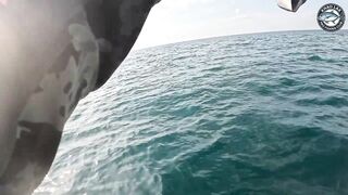 Большая queenfish на поппер - выматывает шнур в ноль у побережья Khao Lak Thailand