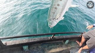 Большая queenfish на поппер - выматывает шнур в ноль у побережья Khao Lak Thailand