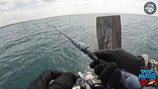 Огромный giant trevally и шумный поппер битва у Khao Lak когда брызги летят выше лодки