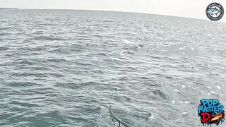 Огромный giant trevally и шумный поппер битва у Khao Lak когда брызги летят выше лодки