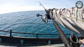 Длинноперый тунец на лёгкую снасть - морская рыбалка в Таиланде и катушка Stella C3000 на пределе