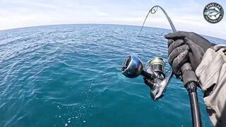 Длинноперый тунец на лёгкую снасть - морская рыбалка в Таиланде и катушка Stella C3000 на пределе