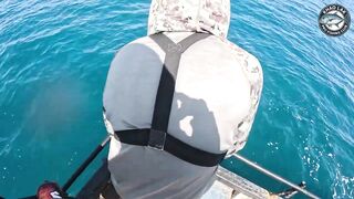 Длинноперый тунец на лёгкую снасть - морская рыбалка в Таиланде и катушка Stella C3000 на пределе