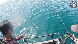 Длинноперый тунец на лёгкую снасть - морская рыбалка в Таиланде и катушка Stella C3000 на пределе