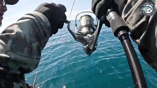 Длинноперый тунец на лёгкую снасть - морская рыбалка в Таиланде и катушка Stella C3000 на пределе