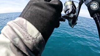 Длинноперый тунец на лёгкую снасть - морская рыбалка в Таиланде и катушка Stella C3000 на пределе