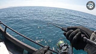 Длинноперый тунец на лёгкую снасть - морская рыбалка в Таиланде и катушка Stella C3000 на пределе