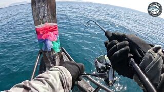 Длинноперый тунец на лёгкую снасть - морская рыбалка в Таиланде и катушка Stella C3000 на пределе