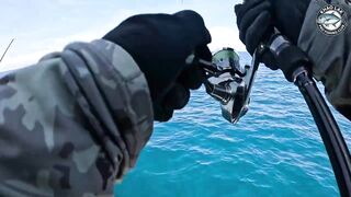 Длинноперый тунец на лёгкую снасть - морская рыбалка в Таиланде и катушка Stella C3000 на пределе