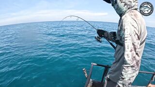 Длинноперый тунец на лёгкую снасть - морская рыбалка в Таиланде и катушка Stella C3000 на пределе