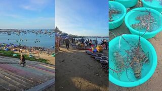 Муйне / Mui Ne, рынок морепродуктов во Вьетнаме. Что брать свежим?