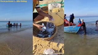 Муйне / Mui Ne после ночной рыбалки. Что оставили в садке и что отпустили?