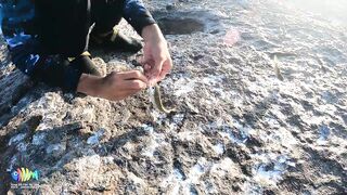 Hòn Lao Mũi Né 2023: охота на cá bè quỵt и попытка взять GT с берега