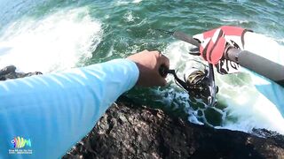 Hòn Lao Mũi Né 2023: охота на cá bè quỵt и попытка взять GT с берега