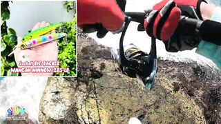 Hòn Lao Mũi Né 2023: охота на cá bè quỵt и попытка взять GT с берега