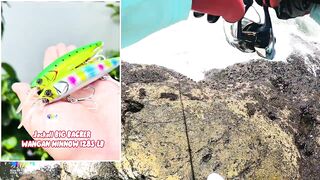 Hòn Lao Mũi Né 2023: охота на cá bè quỵt и попытка взять GT с берега