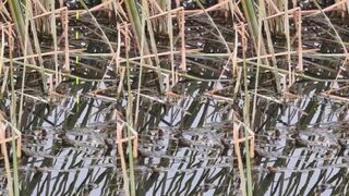 Поклёвка в последнюю секунду рыба атакует у борта когда уже хочется сматывать снасти