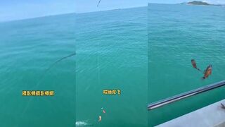 Новичок в 三亚 опустил снасть и сразу двойной улов даже мелочь радует