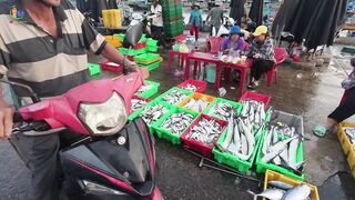 Chợ Cá Cồn Chà в Phan Thiết: чем удивляет главный рынок морепродуктов?