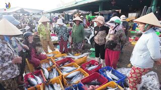 Chợ Cá Cồn Chà в Phan Thiết: чем удивляет главный рынок морепродуктов?