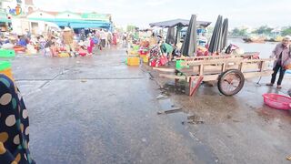 Chợ Cá Cồn Chà в Phan Thiết: чем удивляет главный рынок морепродуктов?