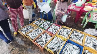 Chợ Cá Cồn Chà в Phan Thiết: чем удивляет главный рынок морепродуктов?
