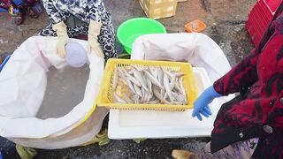 Chợ Cá Cồn Chà в Phan Thiết: чем удивляет главный рынок морепродуктов?