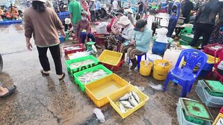 Chợ Cá Cồn Chà в Phan Thiết: чем удивляет главный рынок морепродуктов?
