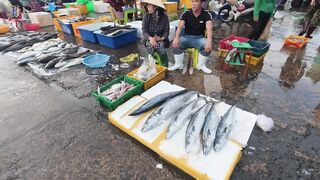 Chợ Cá Cồn Chà в Phan Thiết: чем удивляет главный рынок морепродуктов?